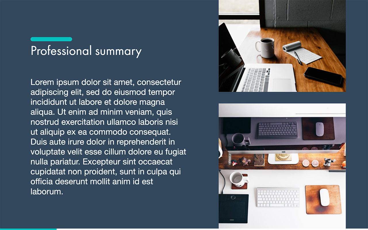 professional-profile-template-free-pdf-ppt-download-by-slidebean